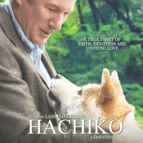 hachiko-grid